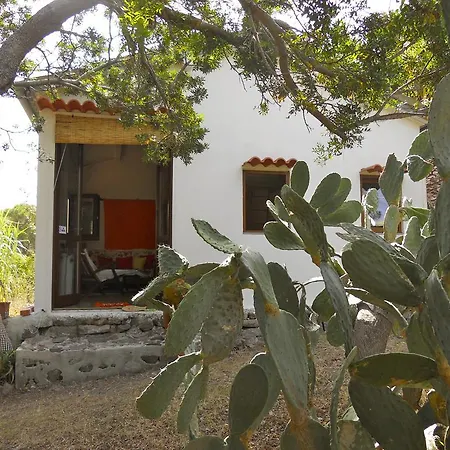 La Casetta Dei Mosaici Île de Île de Capraia Extérieur photo