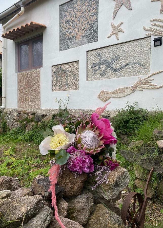 La Casetta Dei Mosaici Casa vacanze *