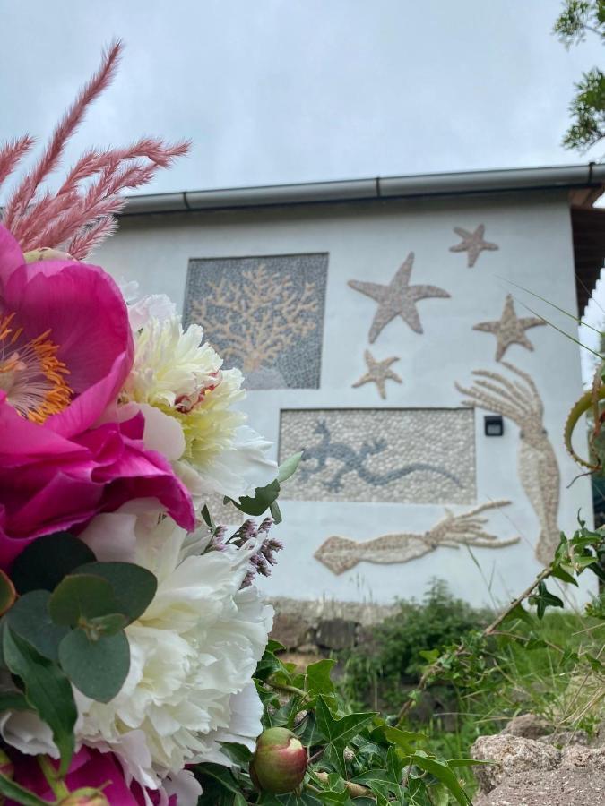 La Casetta Dei Mosaici * Capraia