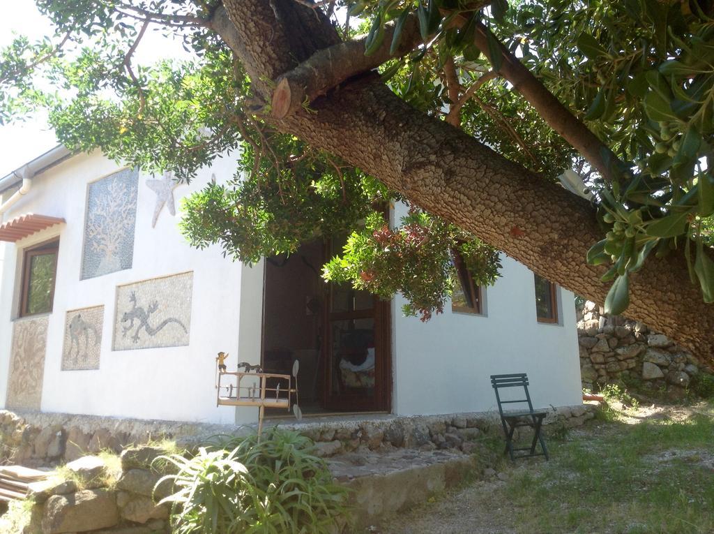 Casa vacanze La Casetta Dei Mosaici *