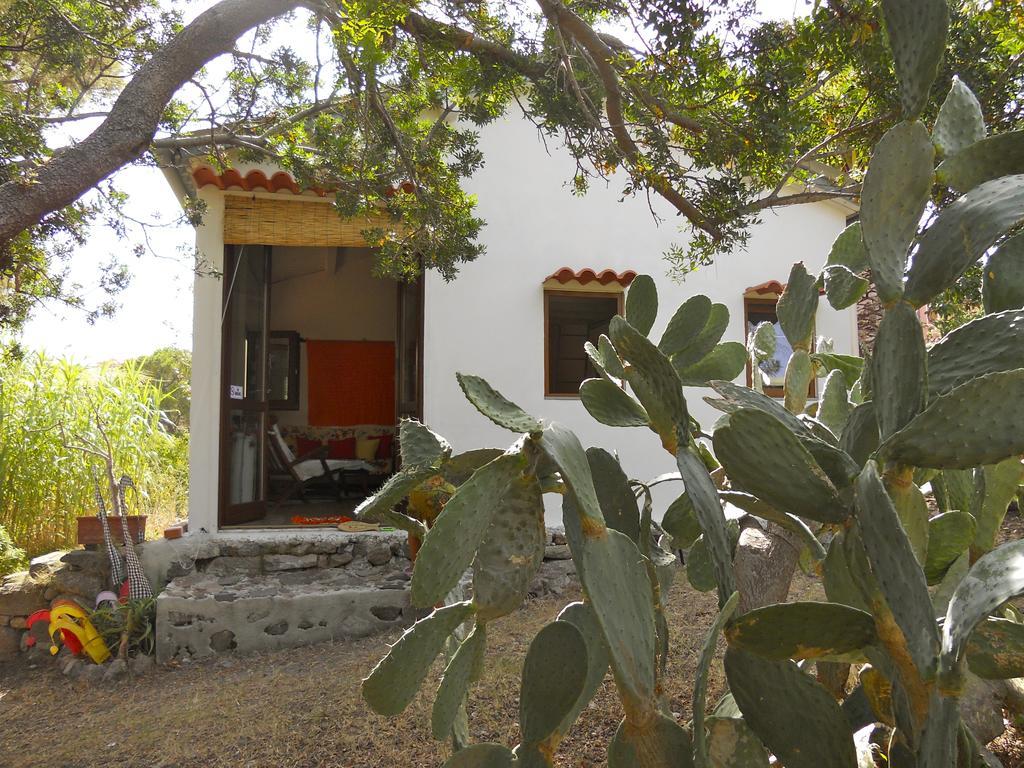 La Casetta Dei Mosaici * Capraia