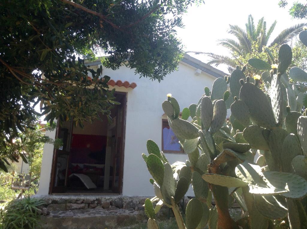 Casa de Férias La Casetta Dei Mosaici Capraia