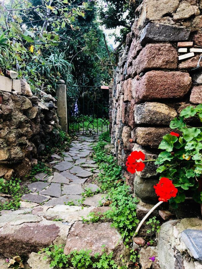 Casa de Férias La Casetta Dei Mosaici Capraia